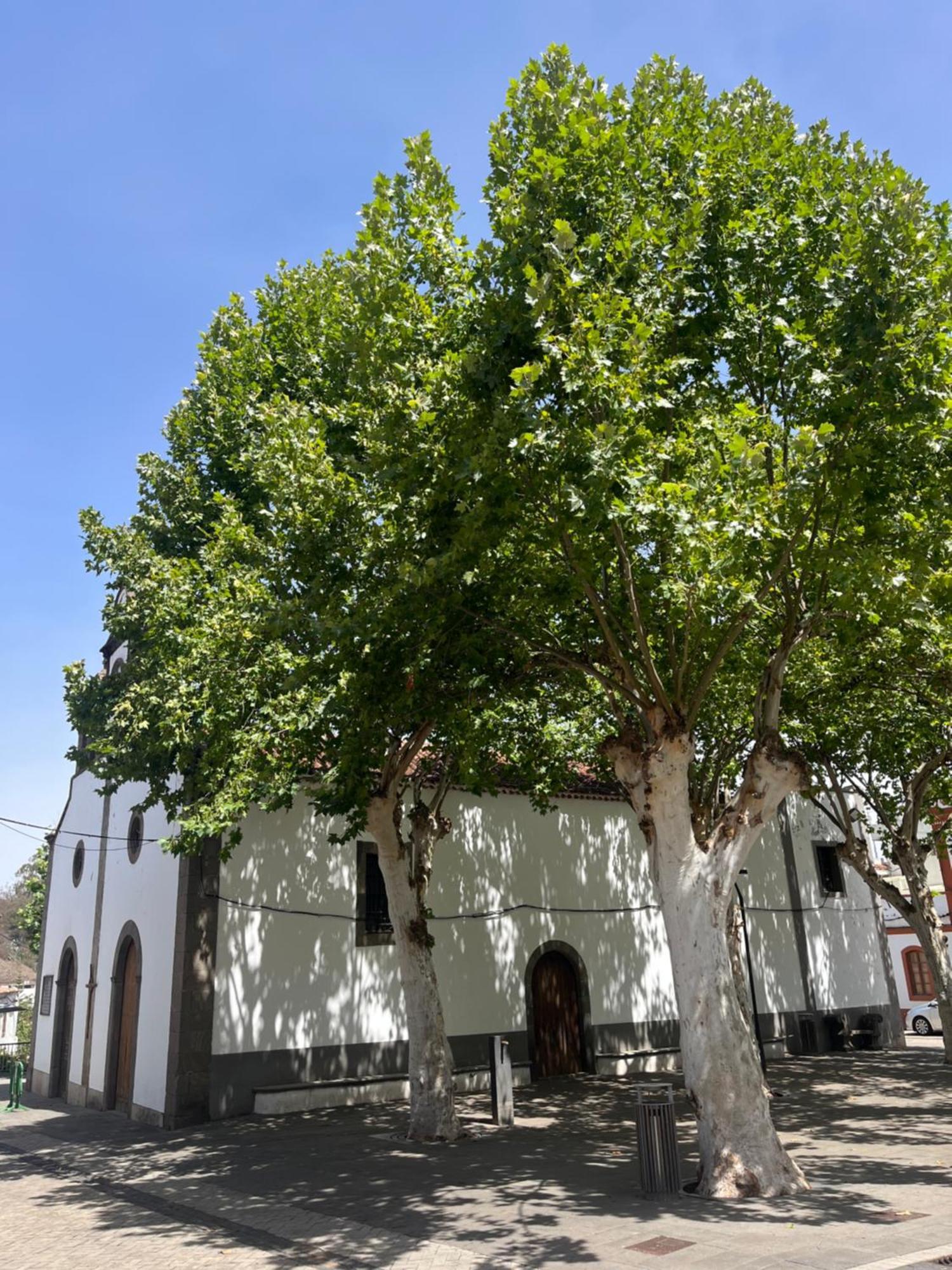 Apartamento Duplex En Fontanales Agua de Fontanales Buitenkant foto